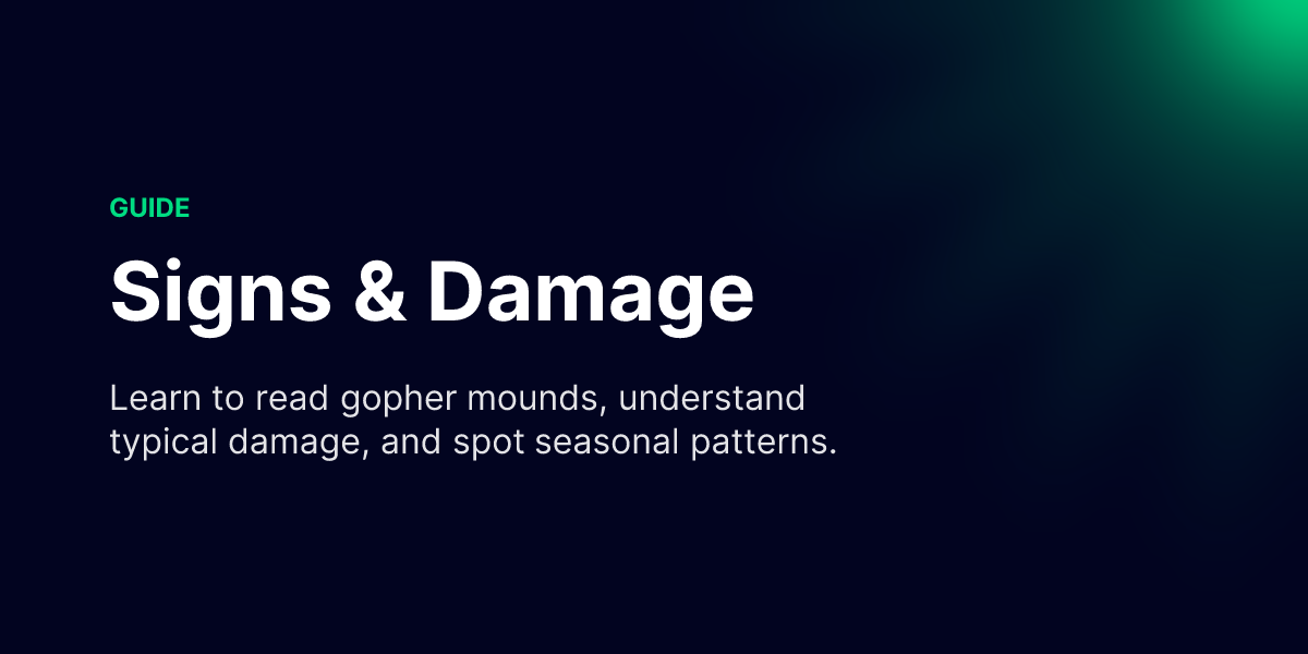 Signs & Damage - Gopher Guide